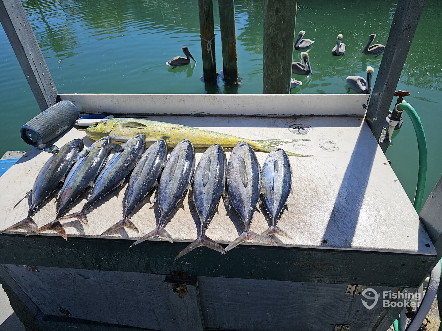 Tavernier Report Photo 0