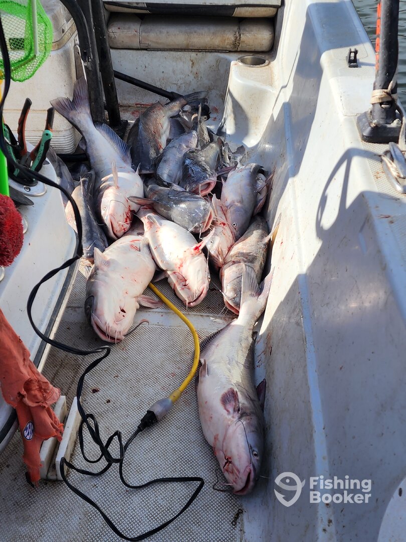 Wagoner Report Photo 0