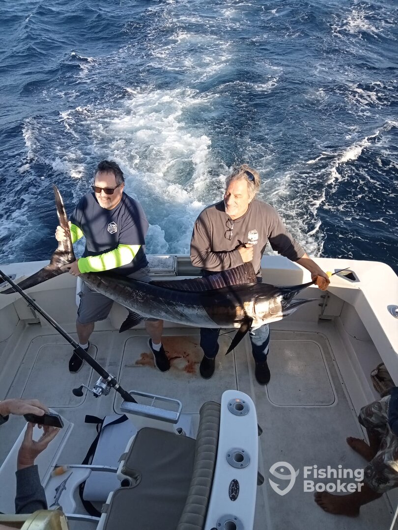 Cabo San Lucas Report Photo 0