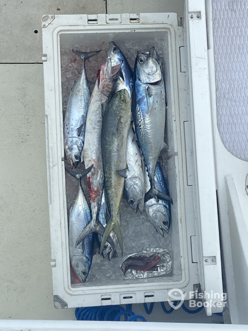 Pompano Beach Report Photo 0