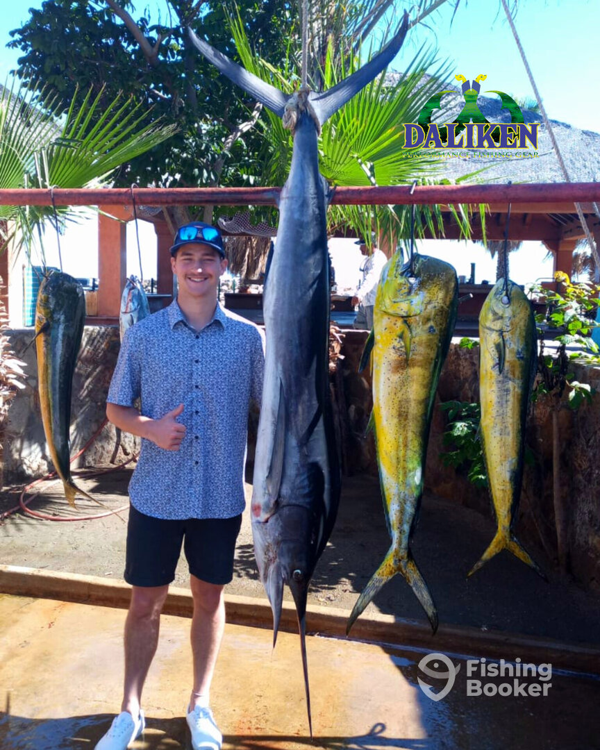 San Jose del Cabo Report Photo 0