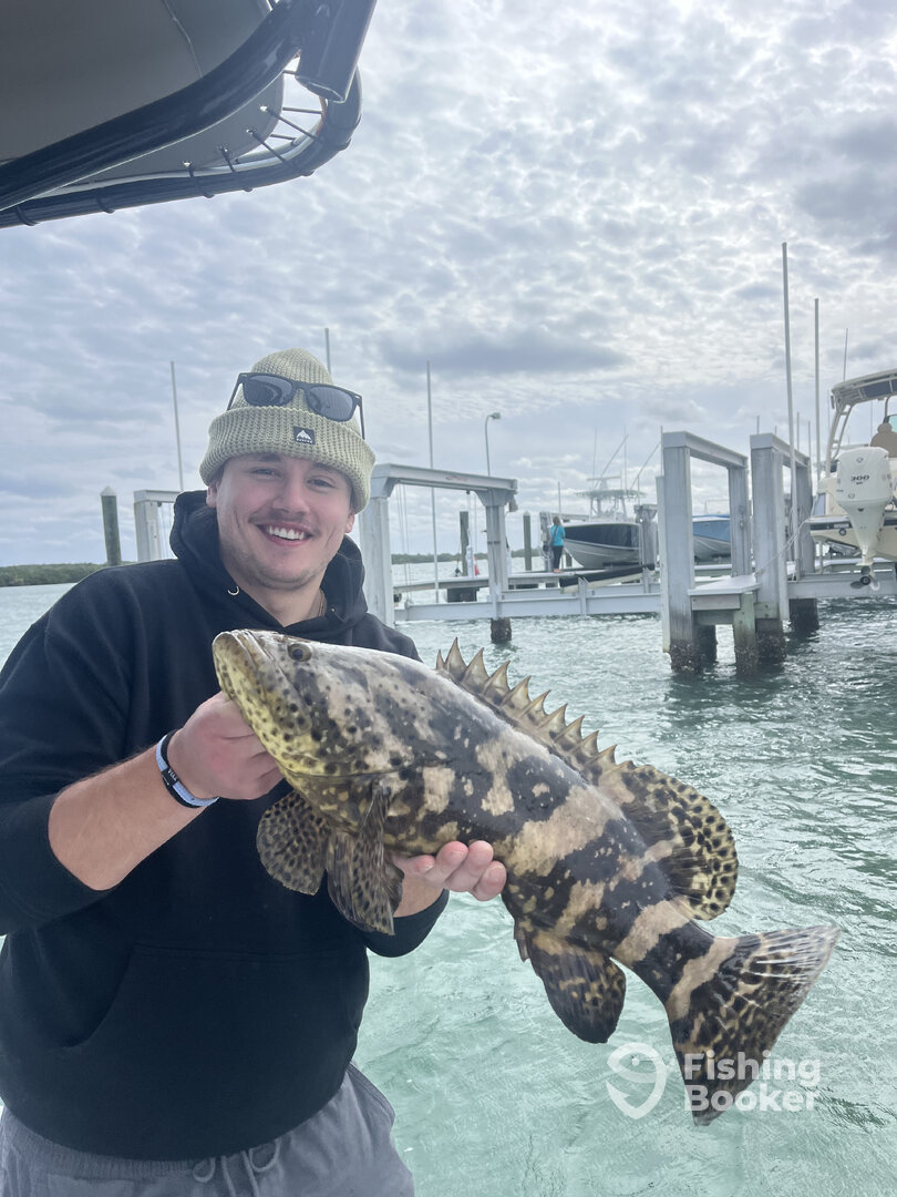 Jupiter Report Photo 0