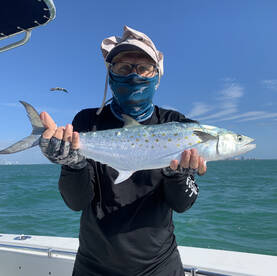 Coral Gables Report Photo 1