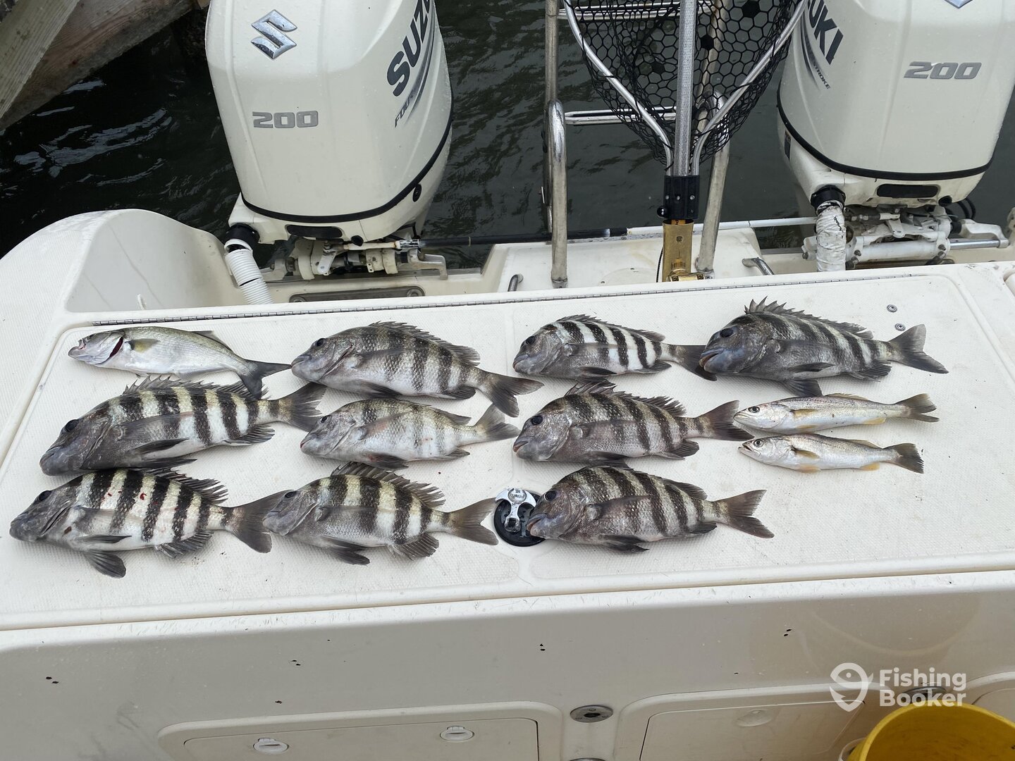 Sebastian Report Photo 0