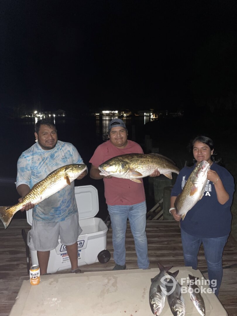 Giant Saltwater redfish
