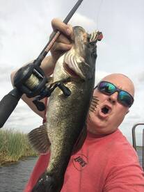 Moving baits in the wind