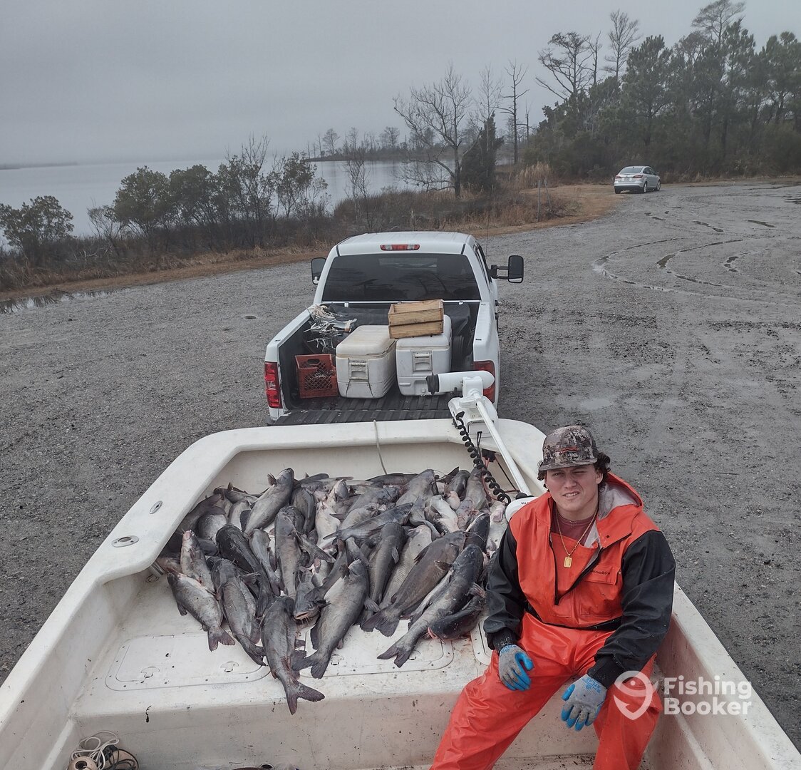 Williamston Report Photo 0