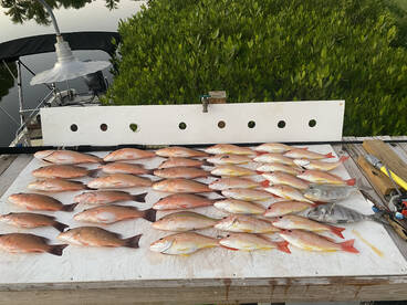 Nokomis Report Photo 2