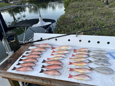 Nokomis Report Photo 1