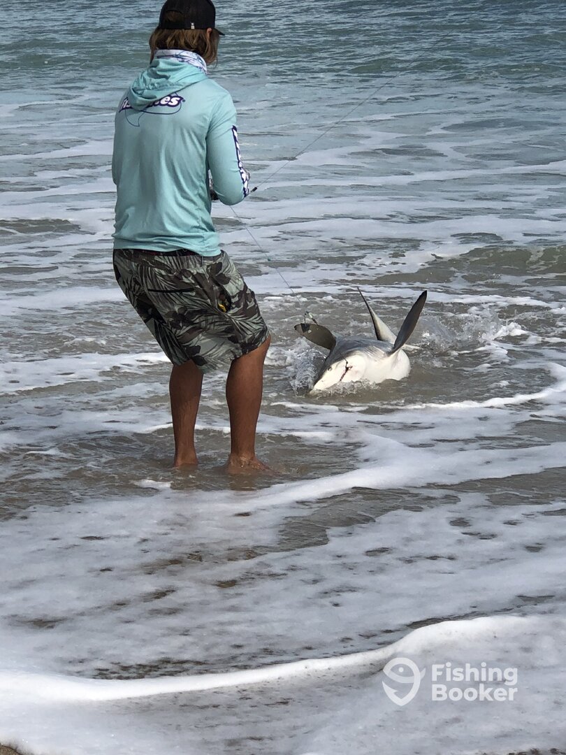 Cocoa Beach Report Photo 0