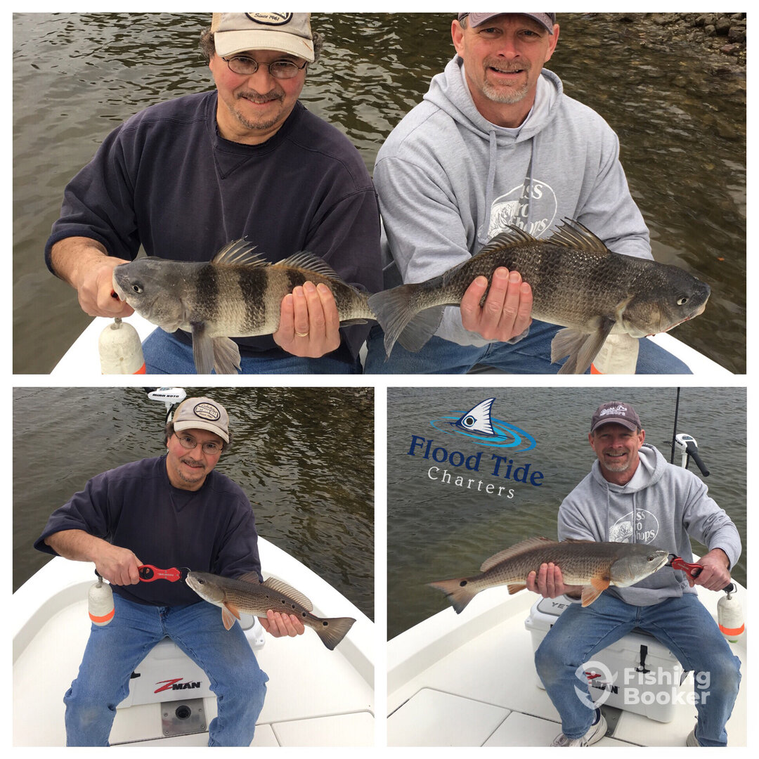 Mount Pleasant Report Photo 0