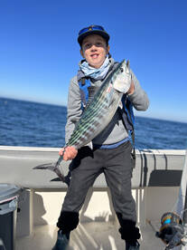 San Diego Report Photo 2