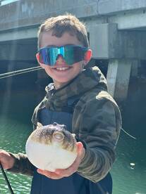 Sarasota Report Photo 1