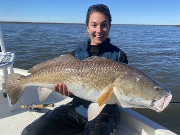 St. Bernard Report Photo 2