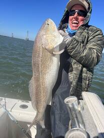 Venice Report Photo 1