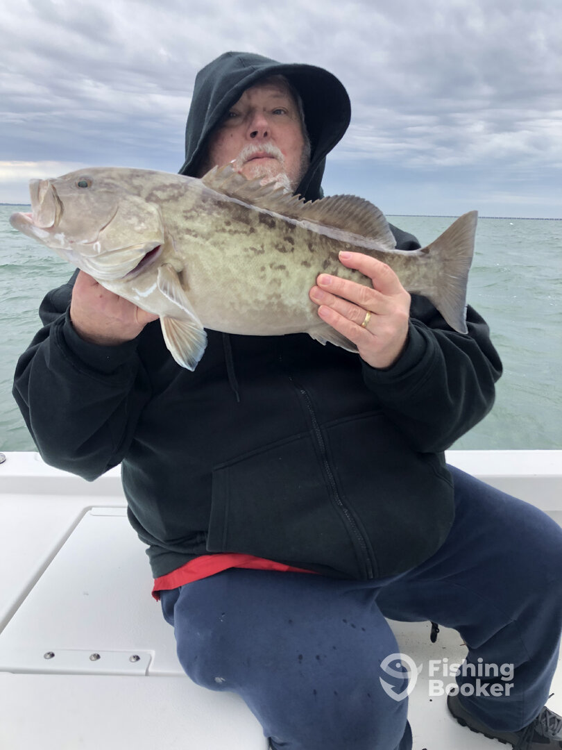 St. Petersburg Report Photo 0