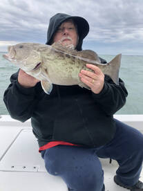 Lots of fish in the bay!