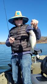 Harrison Report Photo 2