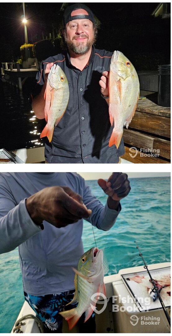 West Bay Report Photo 0