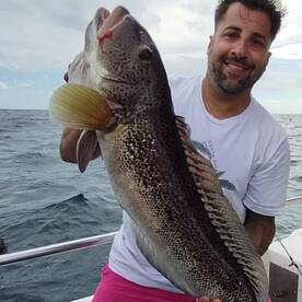 Mar del Plata Report Photo 1