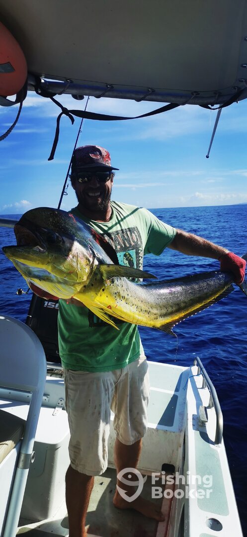 Puna'auia Report Photo 0