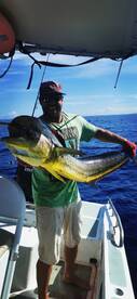 big mahi 