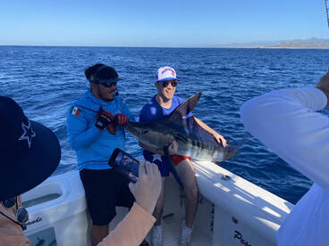 Cabo San Lucas Report Photo 1