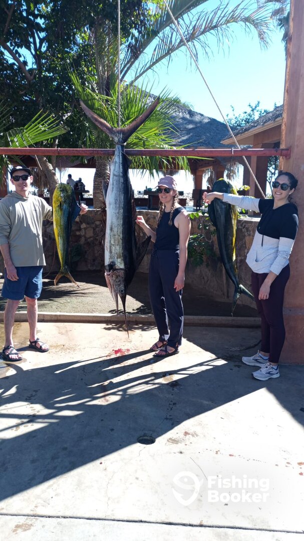 San Jose del Cabo Report Photo 0