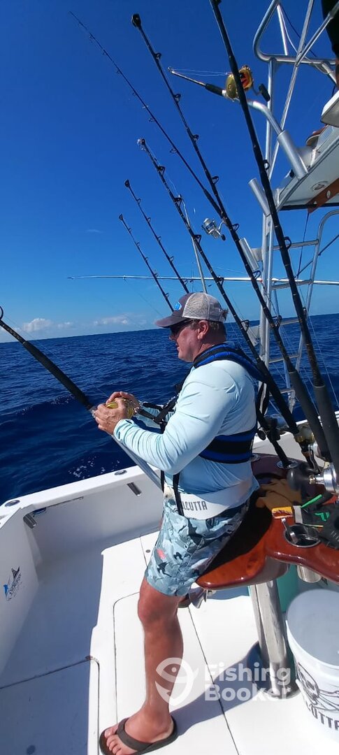 Quepos Report Photo 0