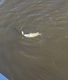 River Road Report Photo 1