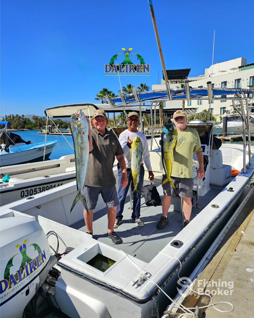 San Jose del Cabo Report Photo 0