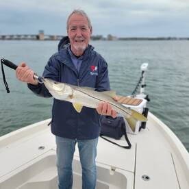 Winter species are on fire ? 