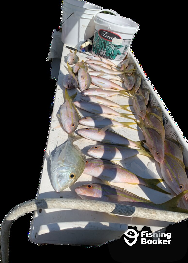 Islamorada Report Photo 0