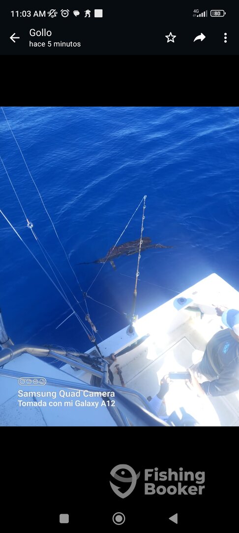 Herradura Report Photo 0