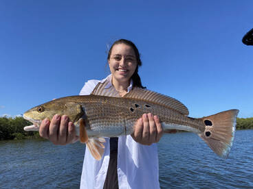 Titusville Report Photo 2