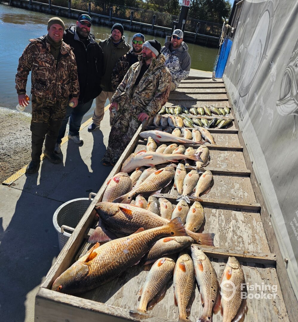 New Orleans Report Photo 0