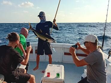 YELLOWFIN Tuna at the FAD