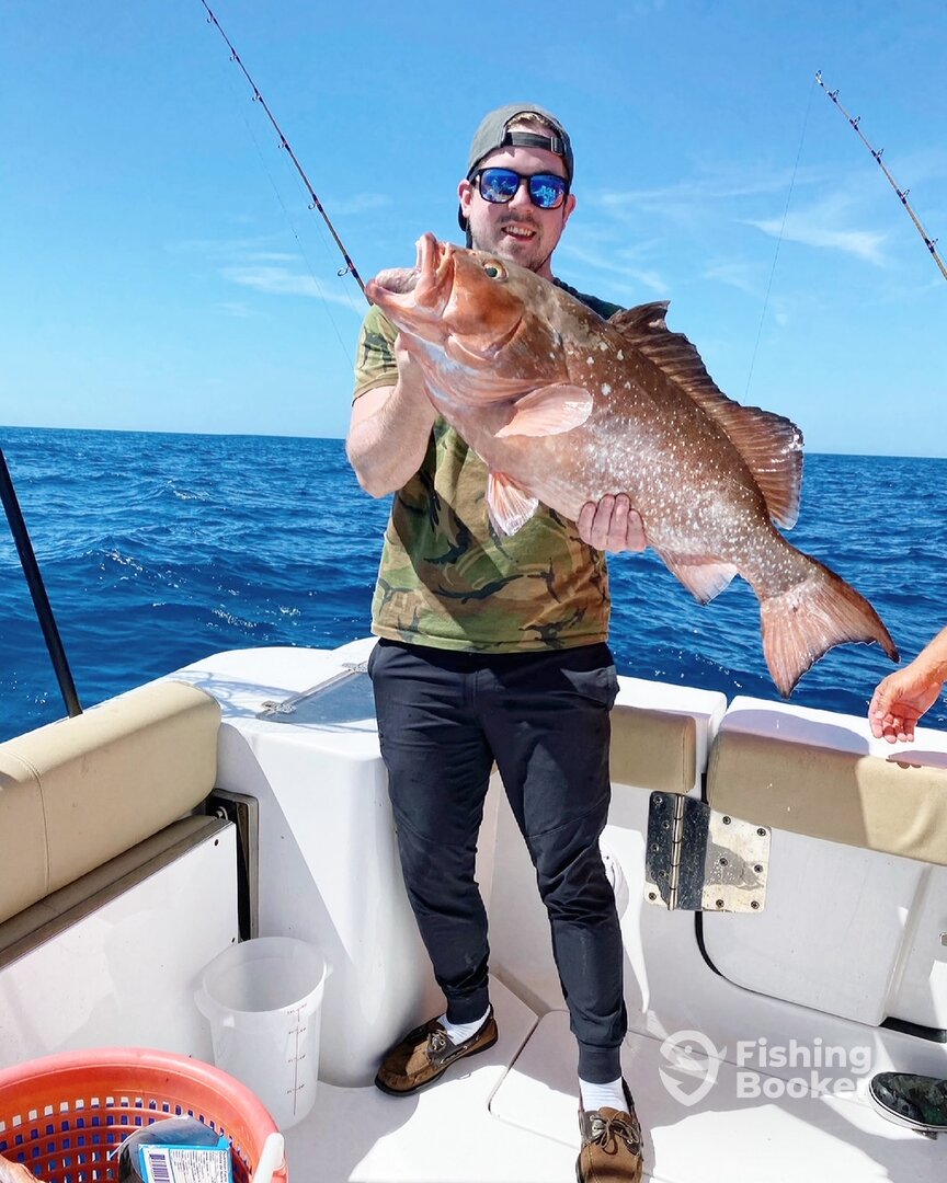 XL Red Grouper