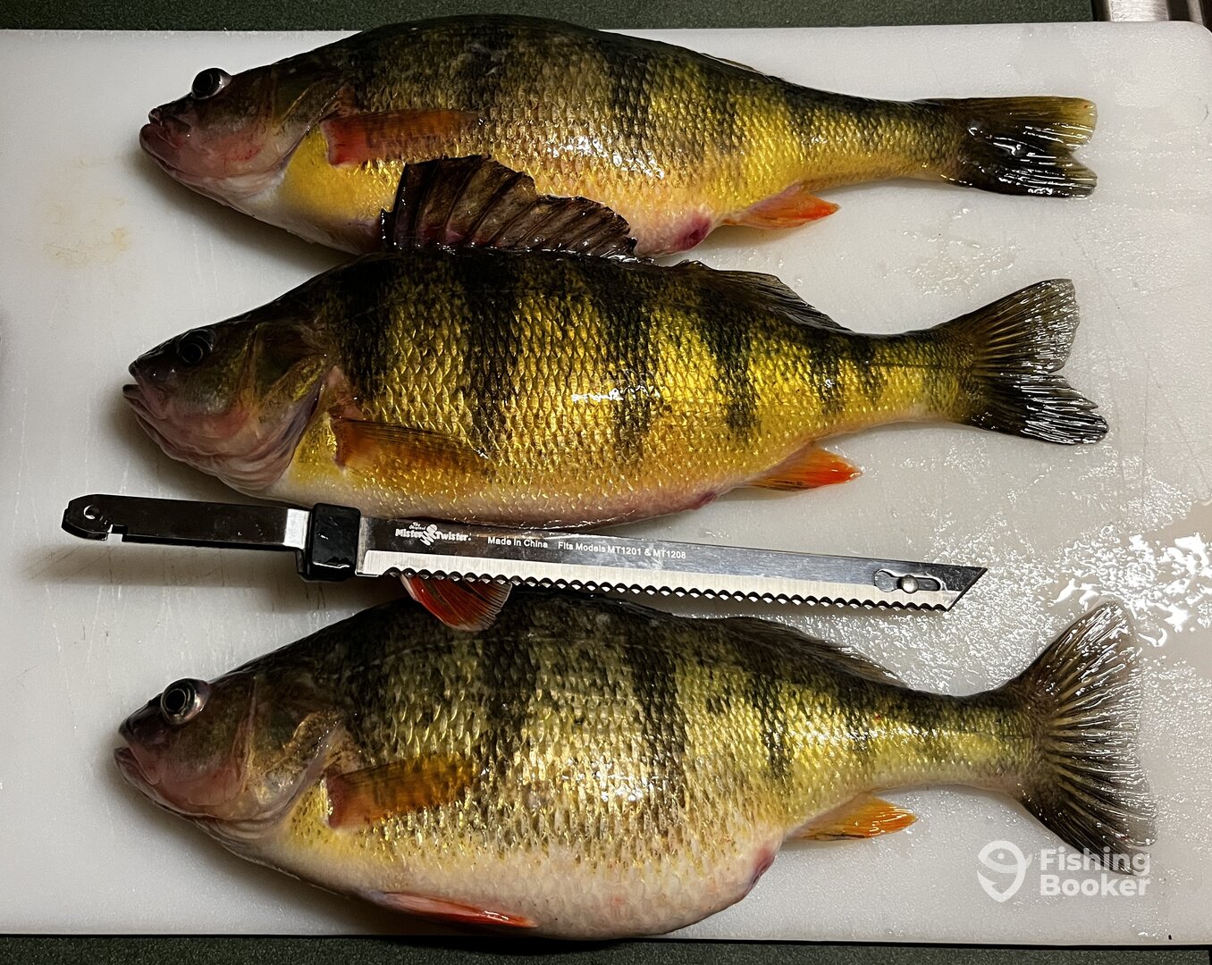 Bernhards Bay Report Photo 0