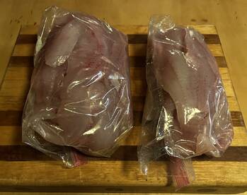 Bernhards Bay Report Photo 2