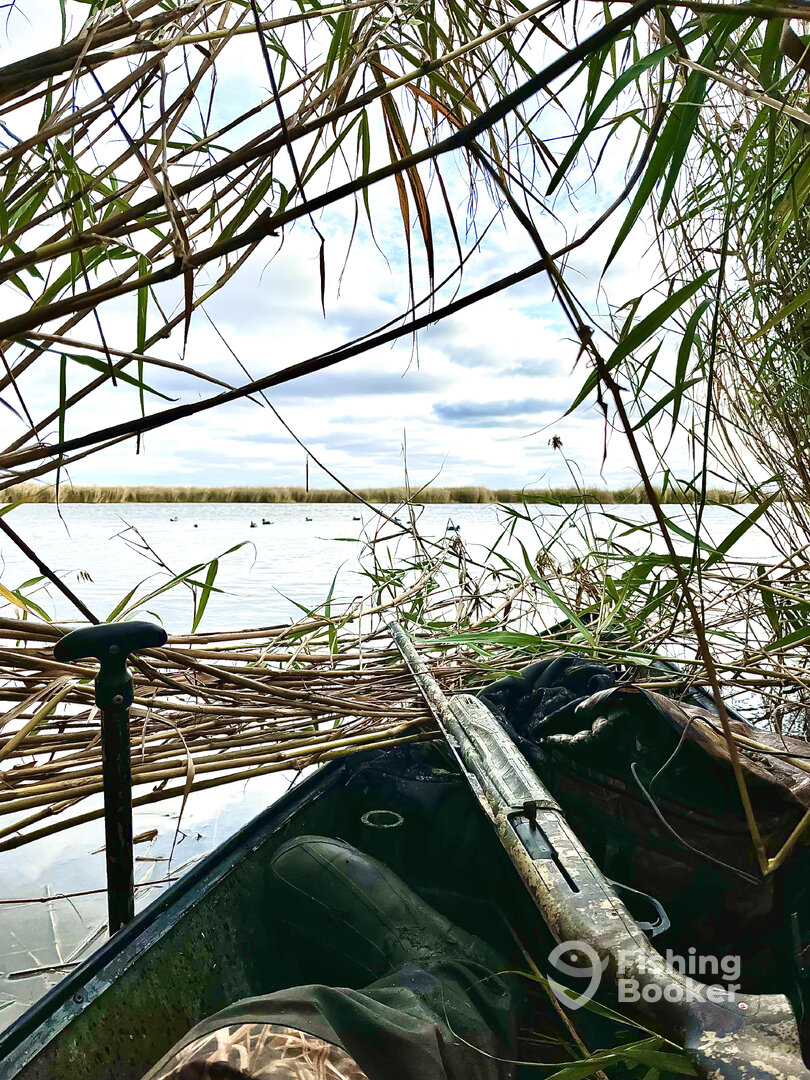 Ocean Springs Report Photo 0