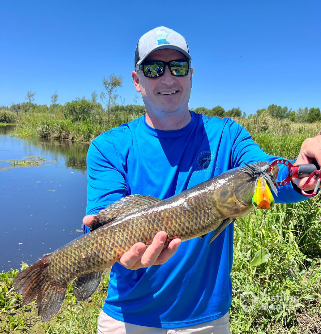 Buenos Aires Report Photo 0