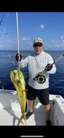 conventional and fly 