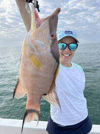 Islamorada Report Photo 2