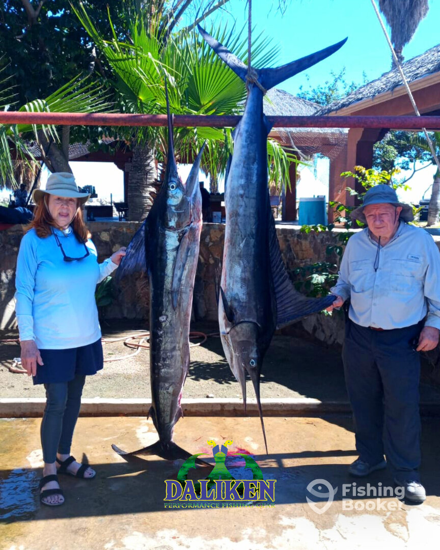 San Jose del Cabo Report Photo 0