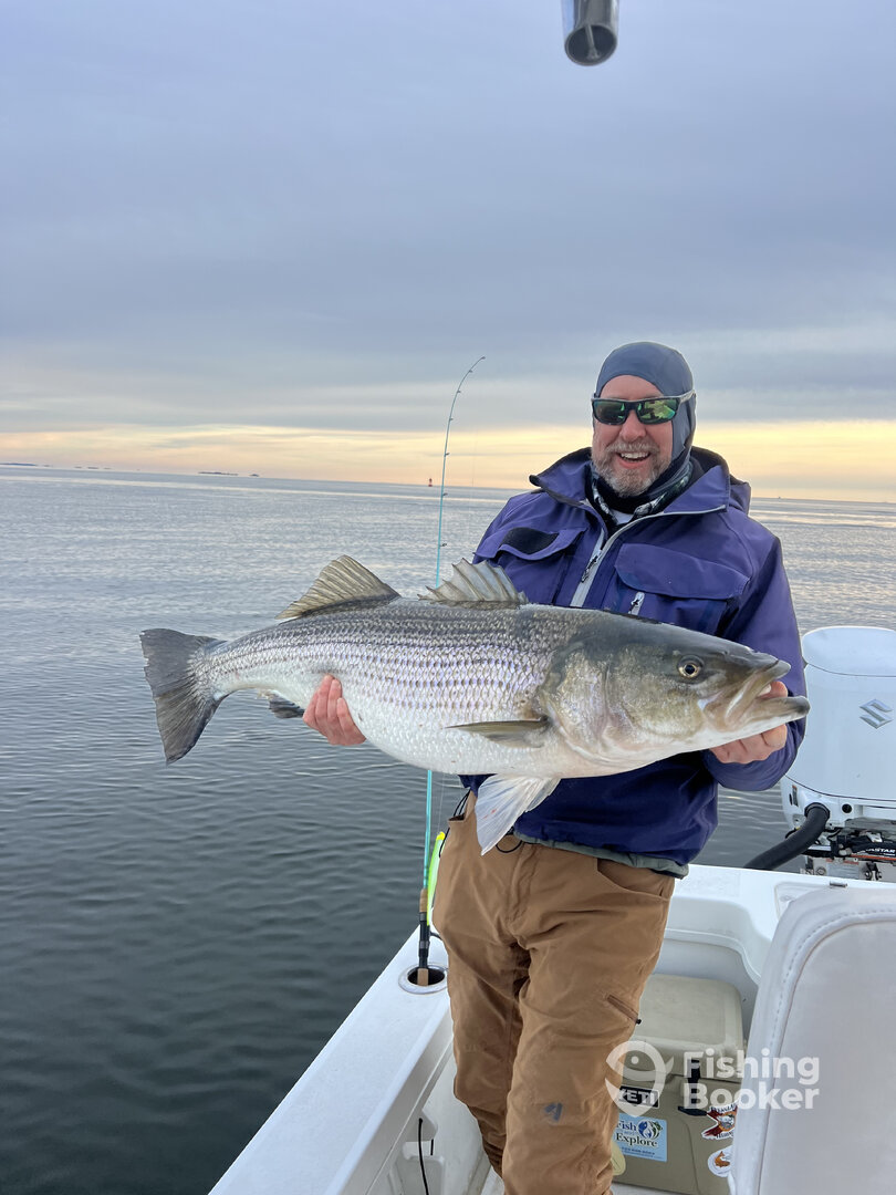 Solomons Report Photo 0