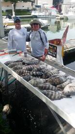 Sheephead and pompano