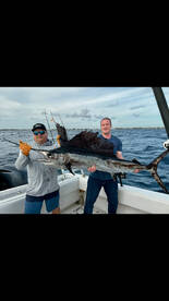 Giant sailfish