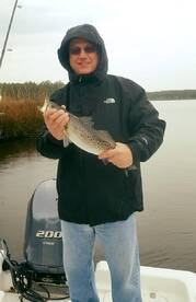 Newport Report Photo 1