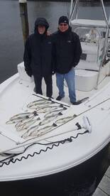 Newport Report Photo 2